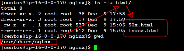 The default webserver document directory of NGINX with an example website