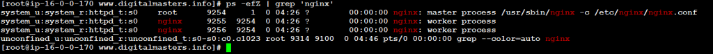 View current SELinux security context of NGINX 