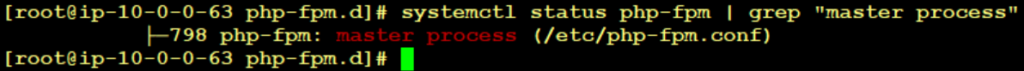 php-fpm master process